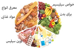 خواص سیلیسیم برای بدن + معرفی انواع مواد غذایی