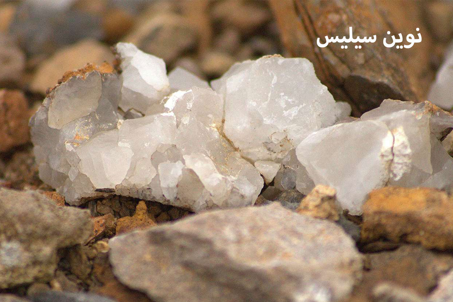 کاربرد سیلیس