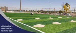 سیلیس در چمن مصنوعی